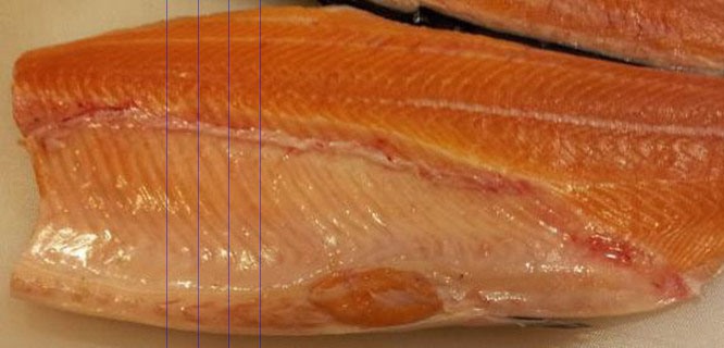 三文魚(yú)加工檢測(cè)方案