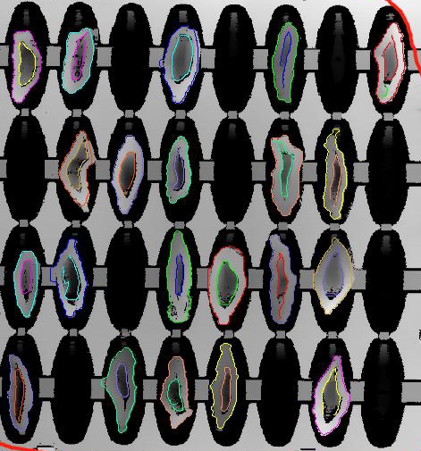 檳榔口味是如何利用高新技術加工的？